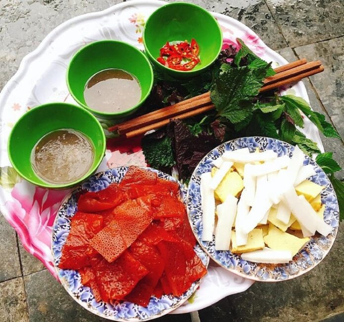 sứa đỏ Hải Phòng 1